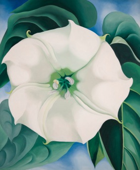 Georgia O'Keeffe, Jimson Weed/White Flower No. 1 1932 Oil paint on canvas 48 x 40 inches Crystal Bridges Museum of American Art, Arkansas, USA Photography by Edward C. Robison III © 2016 Georgia O'Keeffe Museum/DACS, London
