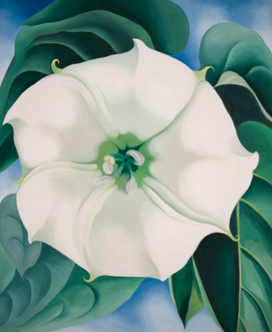 Georgia O'Keeffe, Jimson Weed/White Flower No. 1 1932 Oil paint on canvas 48 x 40 inches Crystal Bridges Museum of American Art, Arkansas, USA Photography by Edward C. Robison III © 2016 Georgia O'Keeffe Museum/DACS, London