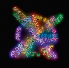 Bruce Nauman Human Nature / Life Death / Knows Doesn’t Know, 1983. Los Angeles County Museum of Art. Modern and Contemporary Art Council Fund, Foto © Museum Associates/LACMA © Bruce Nauman / 2018, ProLitteris, Zurich