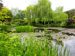Impressionen aus Monets Garten in Giverny © starkandart.com